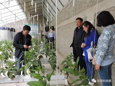 专注生物农药研发 服务绿色农业发展--记甘肃省科学院生物研究所农业生物技术研究室主任刘锦霞